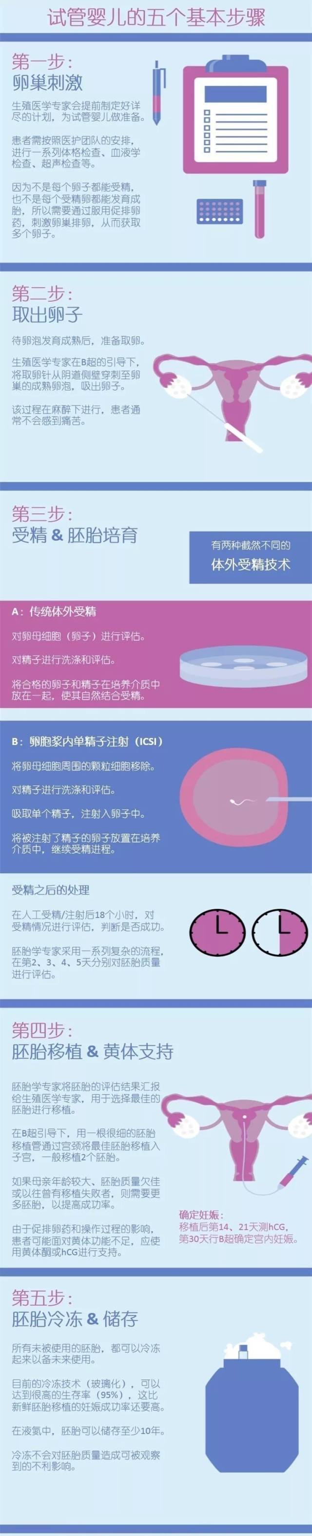 一张图读懂试管婴儿